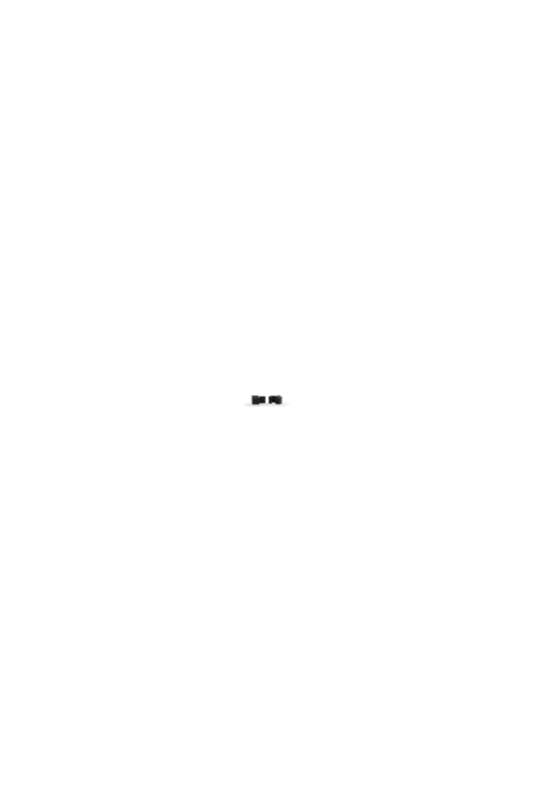 CRTLK / 2 Linking Brackets