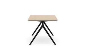 AXLR6036_AxylTables_BlackFrame_AshLaminate_R3.jpg