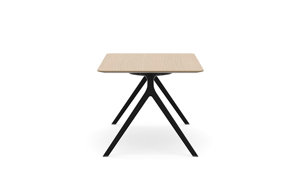 AXLR6036_AxylTables_BlackFrame_AshLaminate_R7.jpg