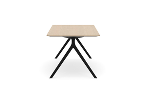 AXLR7836_AxylTables_BlackFrame_AshLaminate_R3.jpg