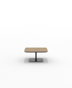 FRSC30SQ_01.JPG