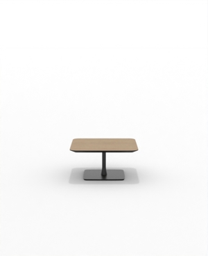 FRSC30SQ_03.JPG