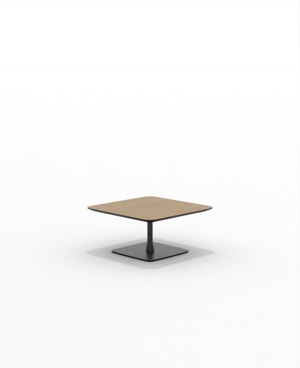FRSC30SQ_04.JPG
