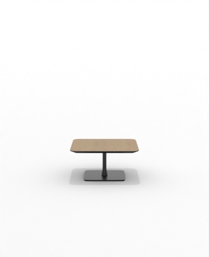 FRSC30SQ_05.JPG