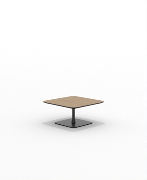 FRSC30SQ_06.JPG