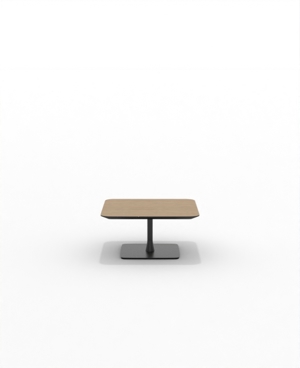 FRSC30SQ_07.JPG