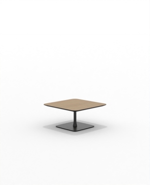 FRSC30SQ_08.JPG
