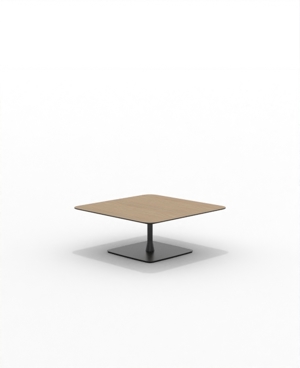 FRSC36SQ_02.JPG