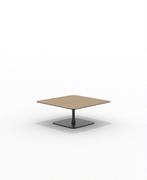 FRSC36SQ_04.JPG