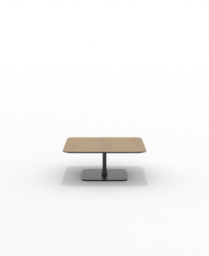 FRSC36SQ_05.JPG