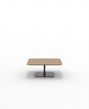 FRSC36SQ_07.JPG