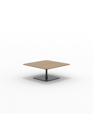 FRSC36SQ_08.JPG