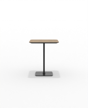 FRSCH30SQ_01.JPG