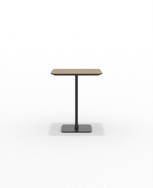 FRSCH30SQ_03.JPG