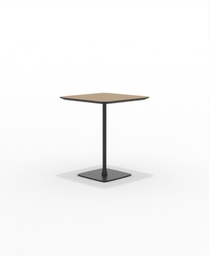 FRSCH30SQ_06.JPG
