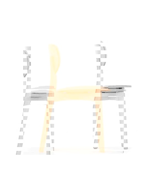 JAICER_JCR1_R3.jpg